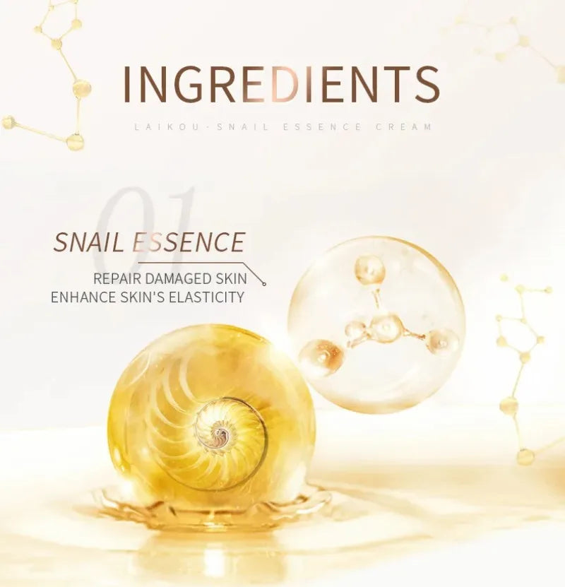 Snail Face Serum and Cream Moisturizing Anti Wrinkle Cream Collagen Nourishing Day Creams Facial Skin Care